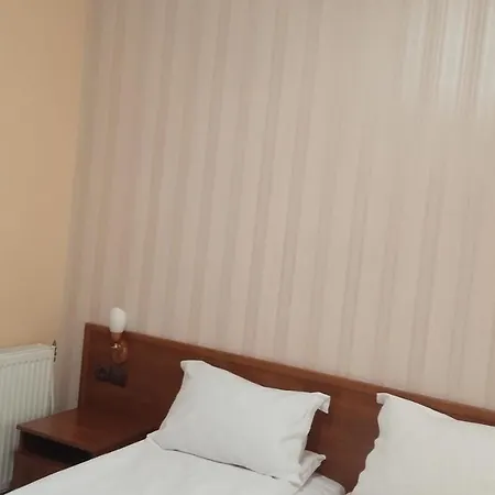 Hotel семеен национал Mineralni Bani